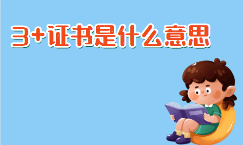 3+证书是什么意思(图1)