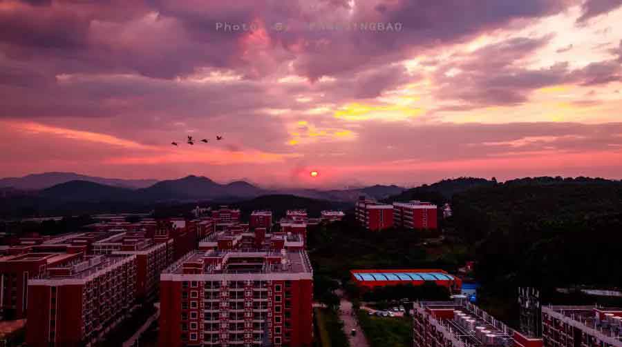 2021年广州华商职业学院高职扩招招生简章(图3)